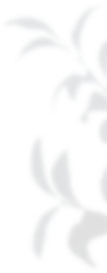 landing-rev-4-img-1 m